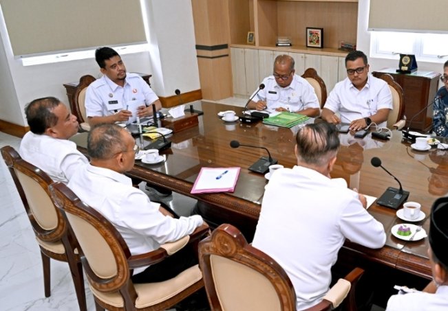 Bobby Nasution Turun Langsung Atasi Hama Lalat Buah 'Hantui' Petani Jeruk di Sumut
