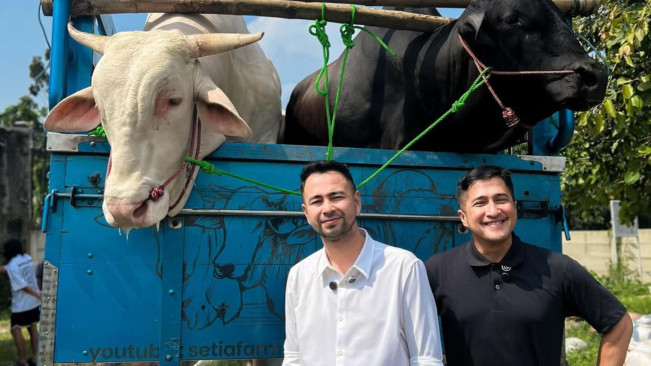 Borong 5 Ekor Sapi Kurban ke Irfan Hakim, Berapa Biaya yang Dikeluarkan Raffi Ahmad?