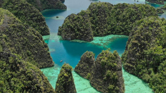 Greenpeace Soroti Ancaman Tambang Nikel di Raja Ampat, Susi Pudjiastuti Minta Presiden Bertindak